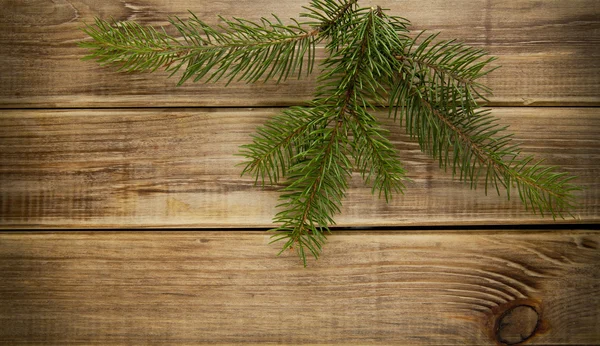 Branches of fir-tree — Stock Photo, Image