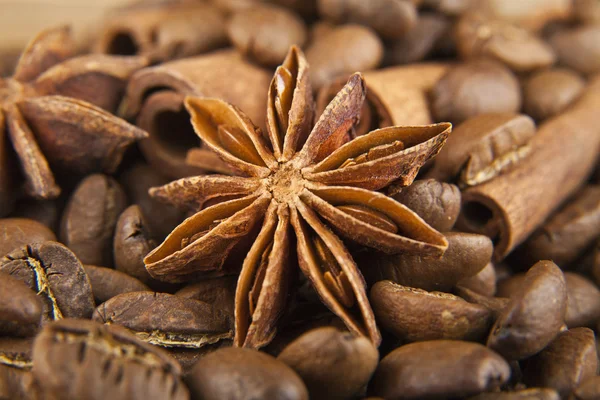 Grãos de café e tempero — Fotografia de Stock