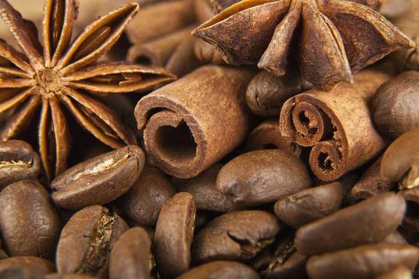 Granos de café y condimentos — Foto de Stock