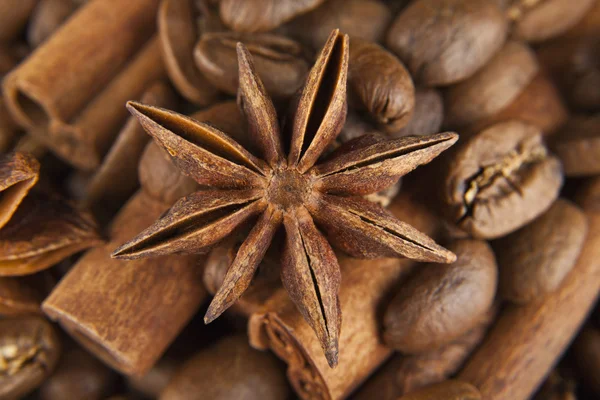 Granos de café y condimentos — Foto de Stock