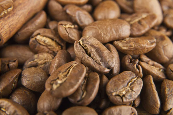 Зерна кави і приправи — стокове фото