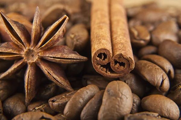 Kärnor av kaffe och kryddor — Stockfoto