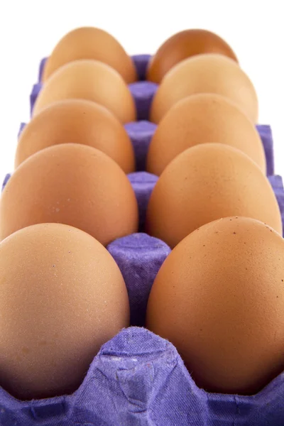 Huevos en blanco —  Fotos de Stock