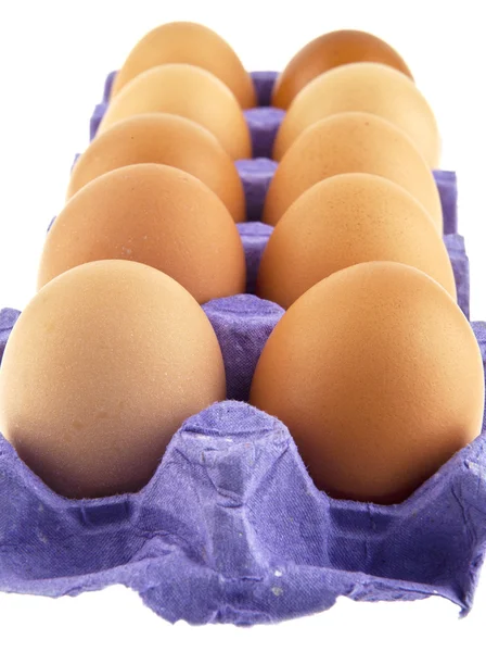 Αυγά σε λευκό — Φωτογραφία Αρχείου