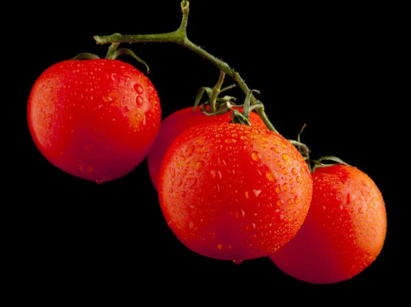 Tomaten met druppels water — Stockfoto
