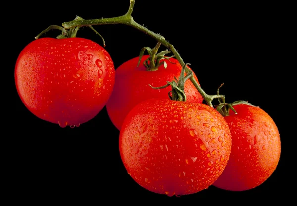 水の滴をトマト — ストック写真