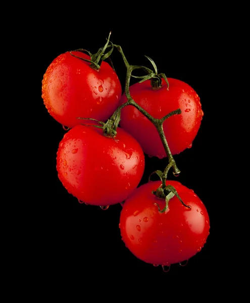 Tomates com gotas de água — Fotografia de Stock