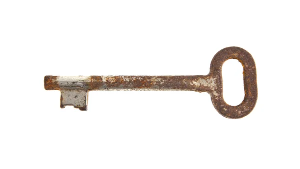 Ferruginous anahtar — Stok fotoğraf