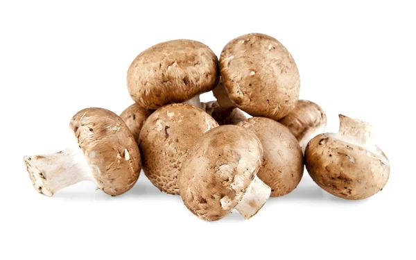 Mushrooms on white — Stock Photo, Image