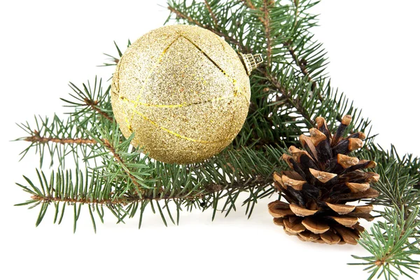 Boule de décoration et sapin — Photo