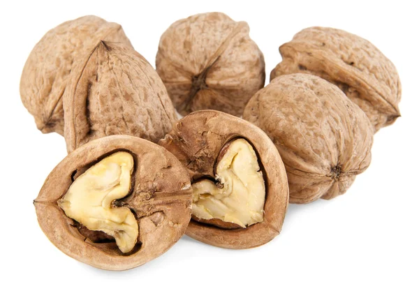 Nueces sobre blanco — Foto de Stock