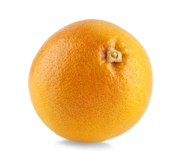 Orange på vit — Stockfoto