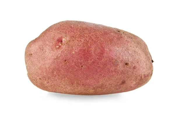 Potato on white — Stock Photo, Image