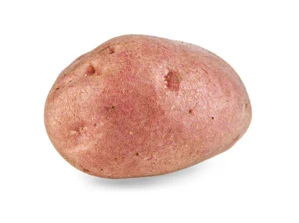Aardappel op wit — Stockfoto