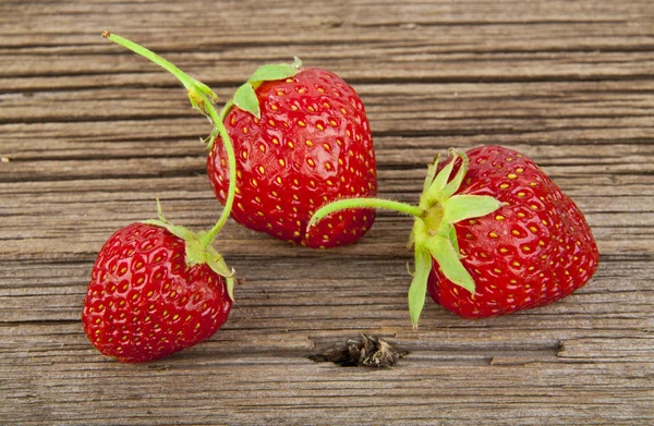 Reife Erdbeere — Stockfoto