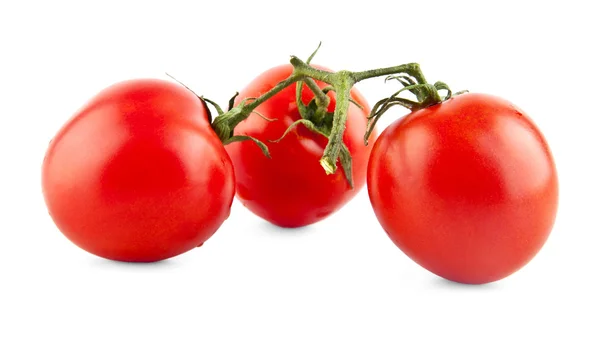Tomates en blanco — Foto de Stock