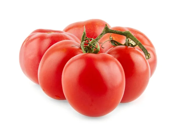 Pomodori su bianco — Foto Stock