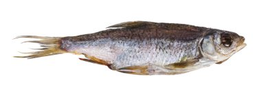 Kurutulmuş hamamböceği balığı beyaz arka planda izole edilmiş. Tasarım ayrıntıları. Tasarım elemanları. Makro. 