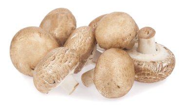 Şampiyonlar beyaz arka planda izole edilmiş. Tasarım ayrıntıları. Tasarım elemanları. Makro. 