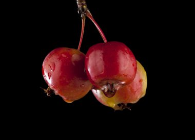 siyah üzerine kırmızı elmalar