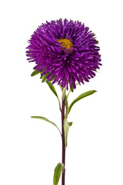 Beyaz üzerine pembe çiçek