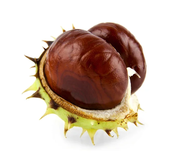 Opened chestnuts on white — Stock Photo, Image