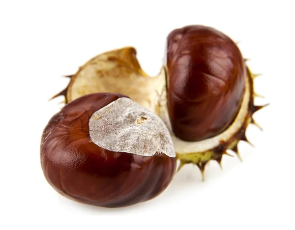 Opened chestnuts on white — Stock Photo, Image