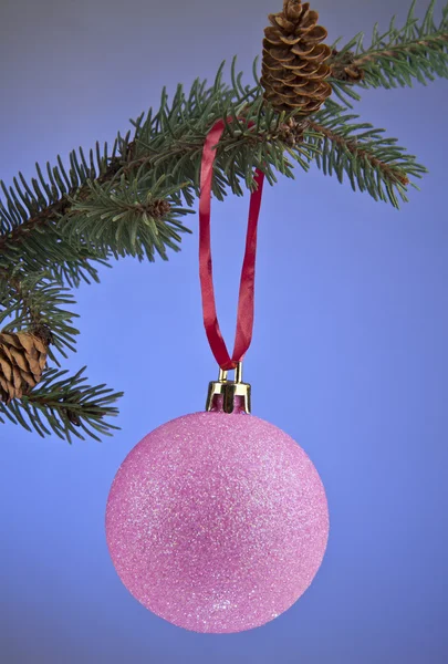 Branch of christmas tree and ball — Stock Photo, Image