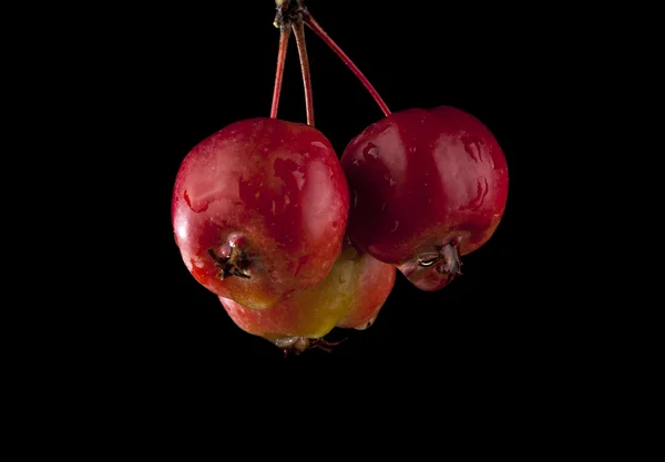 Red apples on black — Stock Photo, Image