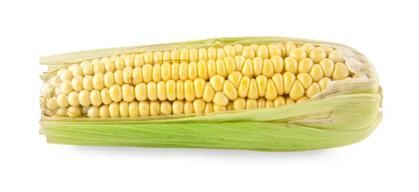 Сладкая кукуруза на белом — стоковое фото
