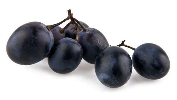 Ramo de uvas em branco — Fotografia de Stock