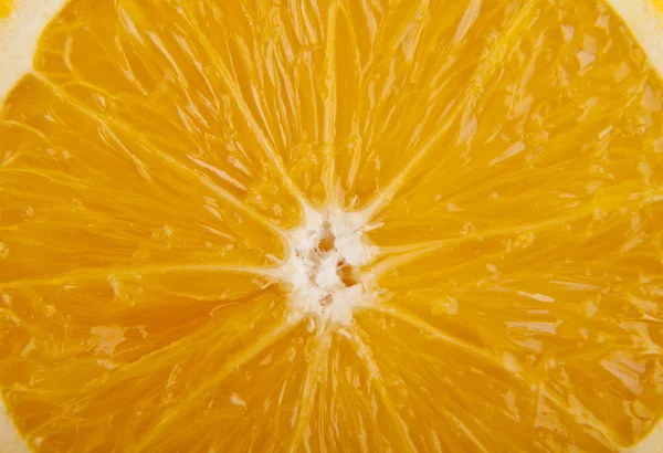 Suculento laranja de perto — Fotografia de Stock