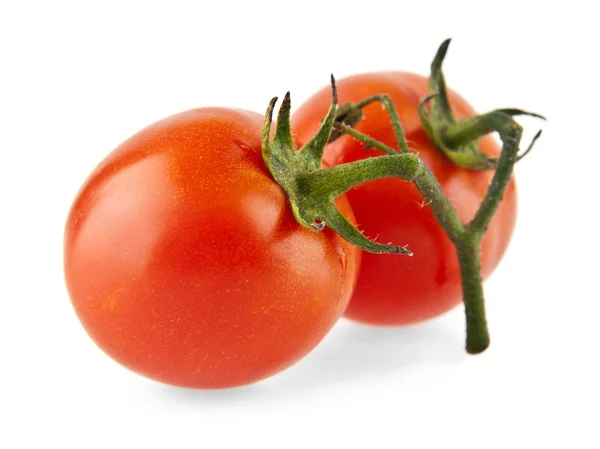 Branch of tomatoes on a white — Stock Photo, Image