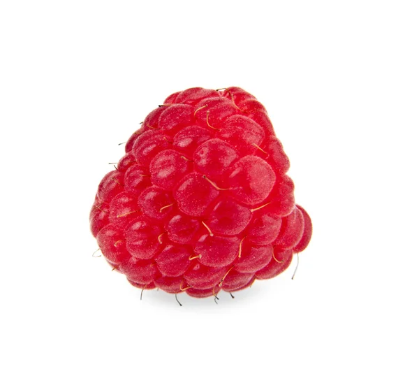 Berry van rijpe frambozen — Stockfoto