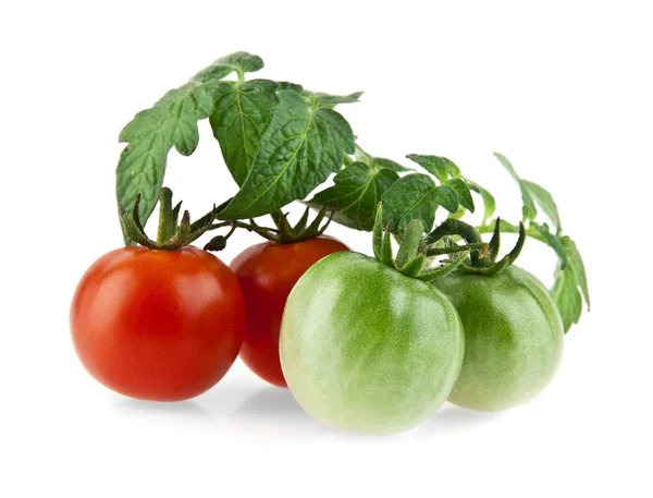 La rama de los tomates sobre blanco —  Fotos de Stock