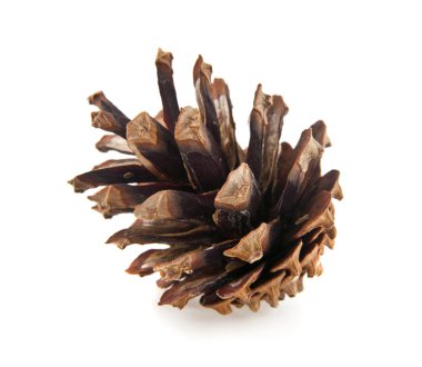 beyaz üzerine tek koni