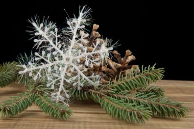 çam ağacı ve kar tanesi dalı