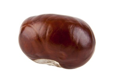 beyaz üzerine bütün kestane