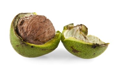 beyaz üzerine taze somun