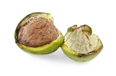 beyaz üzerine taze somun