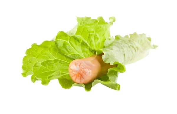 Lettuce and sausage on white — Stock Photo, Image