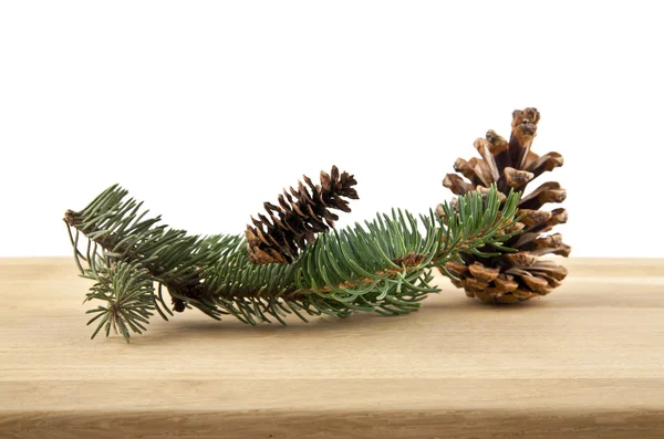 Fir-tree branch and cones — Stock Photo, Image