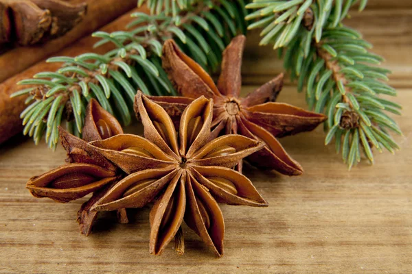 Anise stars and branch — Stock Photo, Image