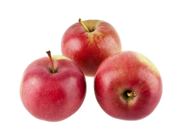 Frische rote Äpfel — Stockfoto