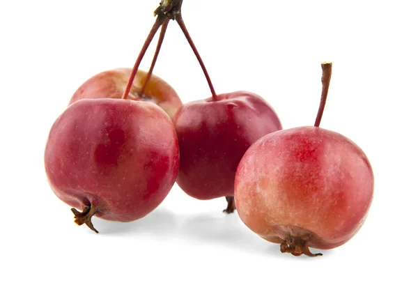 Ripe apples on white — Stock Photo, Image