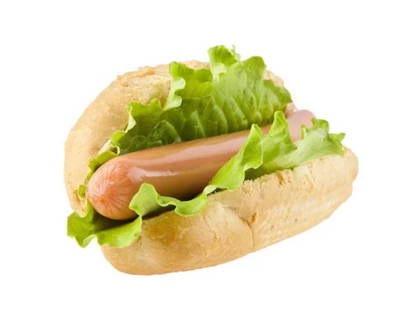 Frischer Hot Dog — Stockfoto