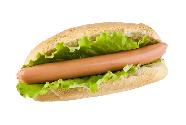 Čerstvý hot dog — Stock fotografie