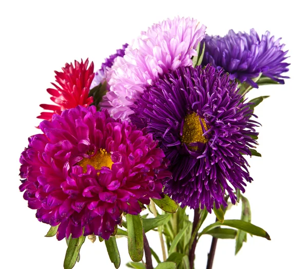 Bukett med krysantemum blommor — Stockfoto