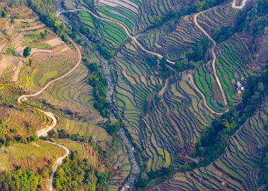 Pokhara yakınındaki çeltik alanlarının havadan görünümü