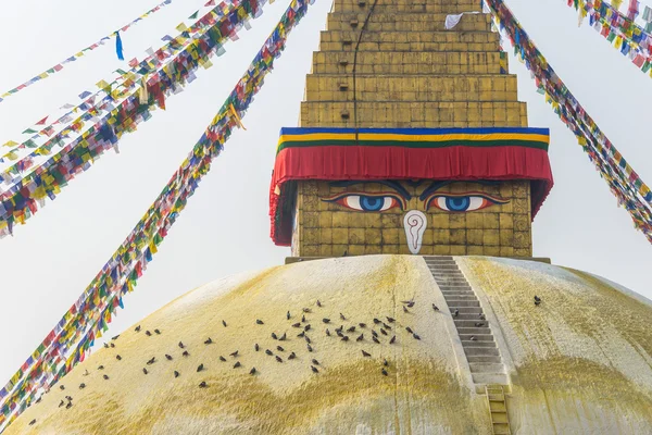 Boudhanath stupa in Kathmandu — Stock Photo, Image